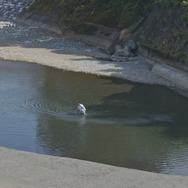 石がある 6枚目の写真・画像