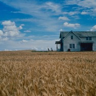 柔らかい殻 デジタルリマスター版 2枚目の写真・画像