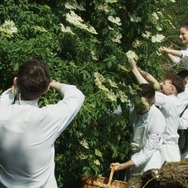 至福のレストラン／三つ星トロワグロ 8枚目の写真・画像