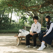 ひとりたび 1枚目の写真・画像