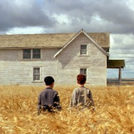 柔らかい殻 デジタルリマスター版 4枚目の写真・画像