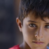 忘れない、パレスチナの子どもたちを 4枚目の写真・画像