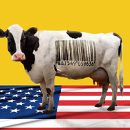 フード・インク ポスト・コロナ 2枚目の写真・画像