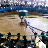 フード・インク ポスト・コロナ 12枚目の写真・画像