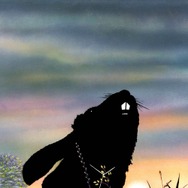 ウォーターシップ・ダウンのうさぎたち HD リマスター版 2枚目の写真・画像