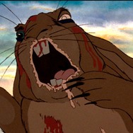 ウォーターシップ・ダウンのうさぎたち HD リマスター版 7枚目の写真・画像