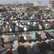 ガザからの報告 12枚目の写真・画像