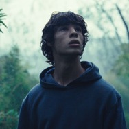 動物界 3枚目の写真・画像