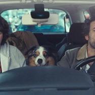 動物界 8枚目の写真・画像