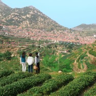 夏が来て、冬が往く 3枚目の写真・画像