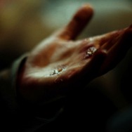 ノーヴィス 12枚目の写真・画像