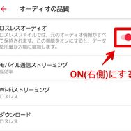 Apple Musicのロスレス機能とは？設定方法や対応曲の確認方法を解説！