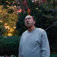 ドリーム・シナリオ 9枚目の写真・画像