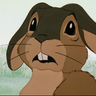 ウォーターシップ・ダウンのうさぎたち HD リマスター版 9枚目の写真・画像