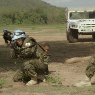 火の華 4枚目の写真・画像