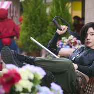 はたらく細胞 6枚目の写真・画像