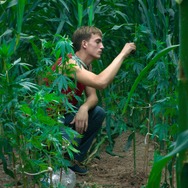 太陽と桃の歌 7枚目の写真・画像