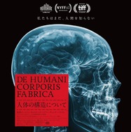 人体の構造について 1枚目の写真・画像