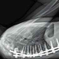 人体の構造について 3枚目の写真・画像