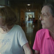 人体の構造について 6枚目の写真・画像