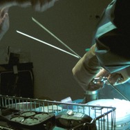 人体の構造について 7枚目の写真・画像