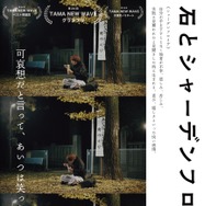 石とシャーデンフロイデ 1枚目の写真・画像