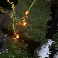 劇場版 ほんとにあった！呪いのビデオ109 4枚目の写真・画像