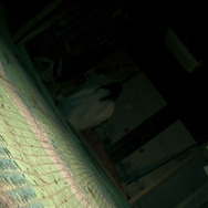 劇場版 ほんとにあった！呪いのビデオ109 6枚目の写真・画像