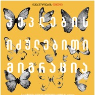 蝶の渡り 1枚目の写真・画像