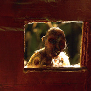 ストップモーション 5枚目の写真・画像