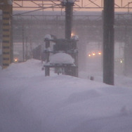 どうすればよかったか？ 13枚目の写真・画像