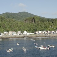 ここにいる、生きている。 〜消えゆく海藻の森に導かれて〜 3枚目の写真・画像