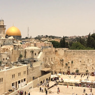 子どもたちはもう遊ばない 14枚目の写真・画像