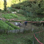 いもうとの時間 7枚目の写真・画像