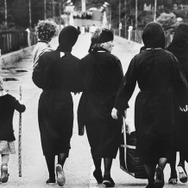 蝶の渡り 2枚目の写真・画像