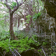 Underground アンダーグラウンド 7枚目の写真・画像