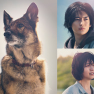 『少年と犬』©2025映画「少年と犬」製作委員会