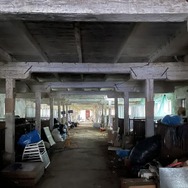 犬と戦争　ウクライナで私が見たこと 7枚目の写真・画像