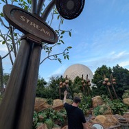 パーク初の『モアナと伝説の海』テーマのインタラクティブなアトラクションで自然の大切さを学ぶ　フロリダ WDW