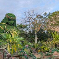 パーク初の『モアナと伝説の海』テーマのインタラクティブなアトラクションで自然の大切さを学ぶ　フロリダ WDW