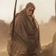 カルキ 2898-AD 18枚目の写真・画像