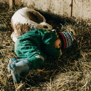 ただ、愛を選ぶこと 6枚目の写真・画像