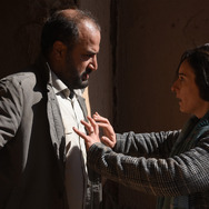 聖なるイチジクの種 6枚目の写真・画像