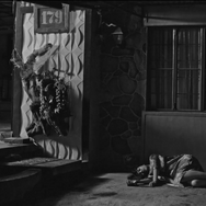 ウリリは黒魔術の夢をみた 3枚目の写真・画像