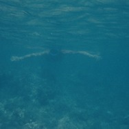 ジュ・テーム、ジュ・テーム 8枚目の写真・画像