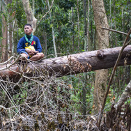 デリカド 4枚目の写真・画像