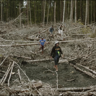 デリカド 9枚目の写真・画像