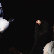 マッド・マウス　～ミッキーとミニー～ 9枚目の写真・画像