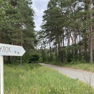 犬と戦争　ウクライナで私が見たこと 9枚目の写真・画像