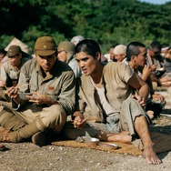 木の上の軍隊 6枚目の写真・画像
